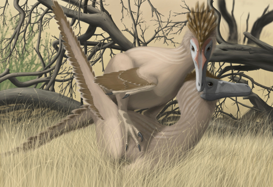 dinosaur sexual activity